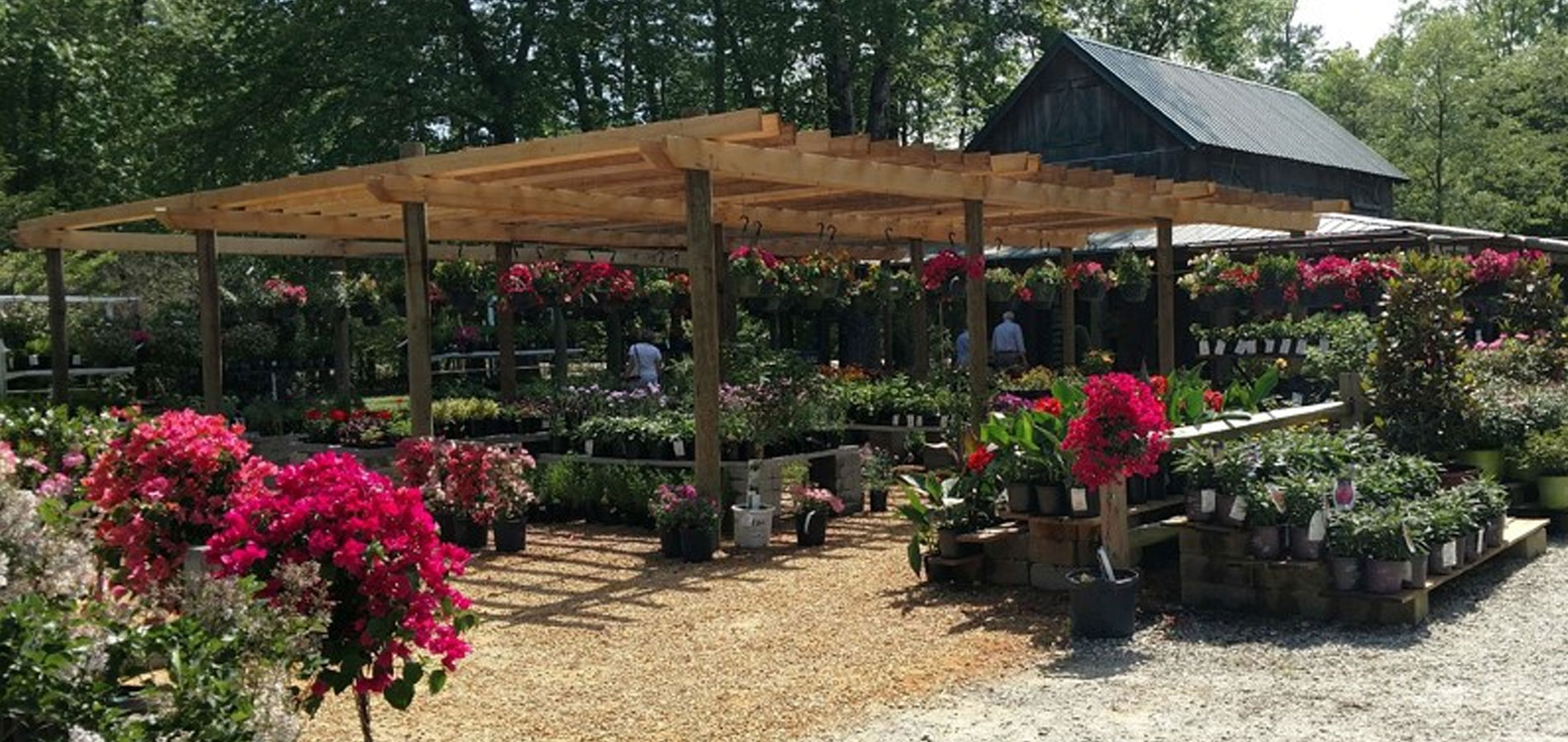 Plant Nursery And Garden Center Serving The Williamsburg Area